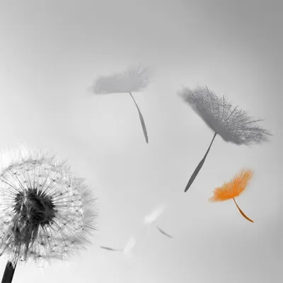 Bild: Zukunft spielend gestalten - RKW Bayern geht neue Wege für nachhaltige Unternehmensführung