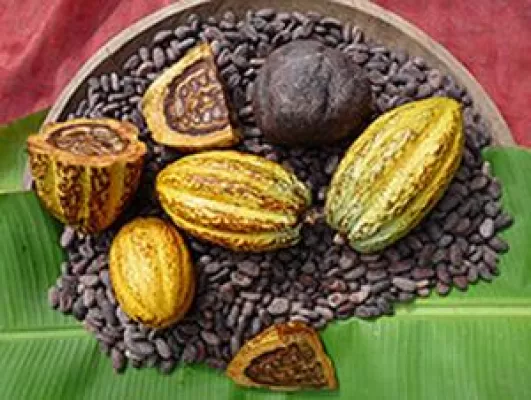 Bild: BioFach mit Waldinvestment-Anbieter ForestFinance
