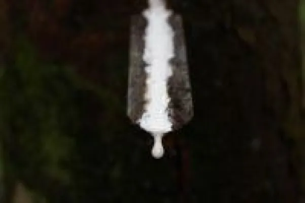 Bild: Radium Foam BV erhält FSC-Zertifizierung - Der nächste Schritt zu einem gesunden Schlaf