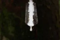 Bild: Radium Foam BV erhält FSC-Zertifizierung - Der nächste Schritt zu einem gesunden Schlaf