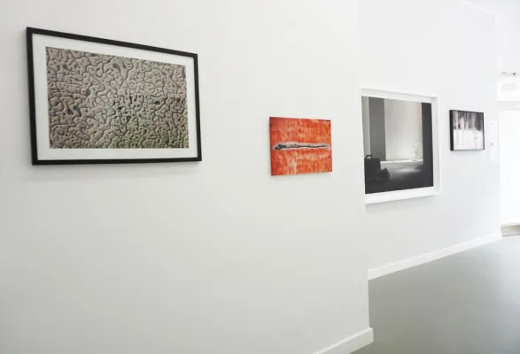 Bild: Ausstellungsverlängerung „Winzige Riesen“ von Llamas und Garrido in der Galerie 100 Kubik