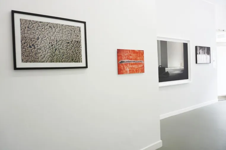 Ausstellungsverlängerung „Winzige Riesen“ von Llamas und Garrido in der Galerie 100 Kubik Bild: Ausstellungsverlängerung „Winzige Riesen“ von Llamas und Garrido in der Galerie 100 Kubik