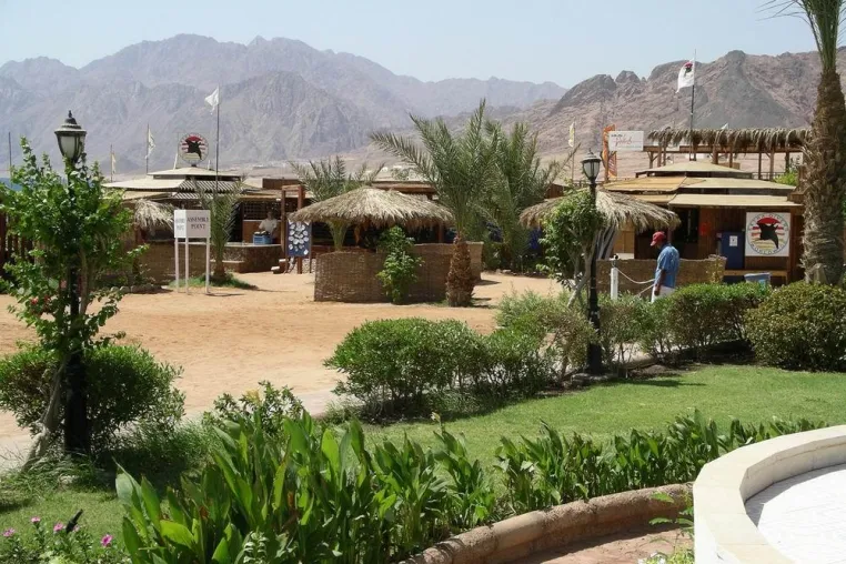 Ägypten: Tauchen Training Perspektiven – Neues Seminarkonzept am Roten Meer Bild: Ägypten: Tauchen Training Perspektiven – Neues Seminarkonzept am Roten Meer