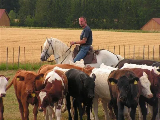 Bild: Deutsche Reiter fahren zur Europameisterschaft nach Sardinien