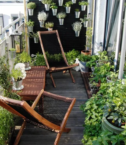 Frisches Gemüse vom Balkon Bild: Frisches Gemüse vom Balkon
