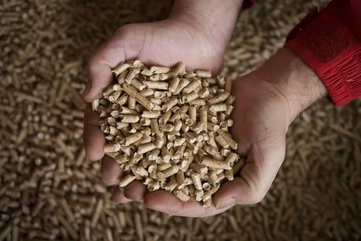 Holzpellets sind der Brennstoff der Zukunft. Heizen mit Strom dagegen ist teuer und klimaschädlich.