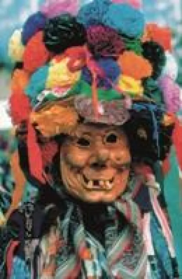 Fasching am Traunsee: Original Ebenseer Fetzen (Copyright STMG)