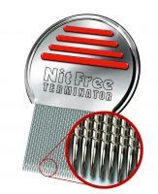 Bild: Sommerzeit ist Läusezeit - Besonders nach den großen Sommerferien gibt es wieder oft Läusealarm