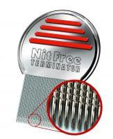 Bild: Sommerzeit ist Läusezeit - Besonders nach den großen Sommerferien gibt es wieder oft Läusealarm