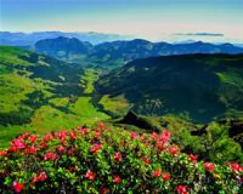 Bild: Ferienregion Alpbachtal Seenland mit „free-key“-WLan-Hotspots ausgestattet