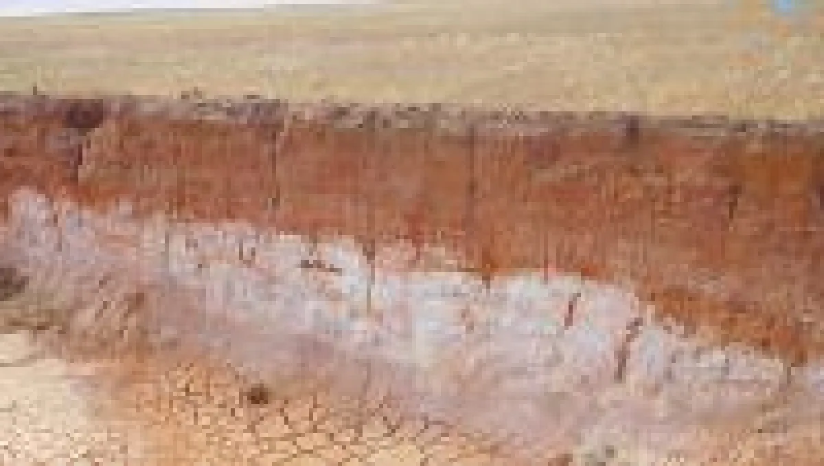 Kaolin-Horizont in einem Graben auf dem Cadoux-Projekt; Foto: FYI Resources