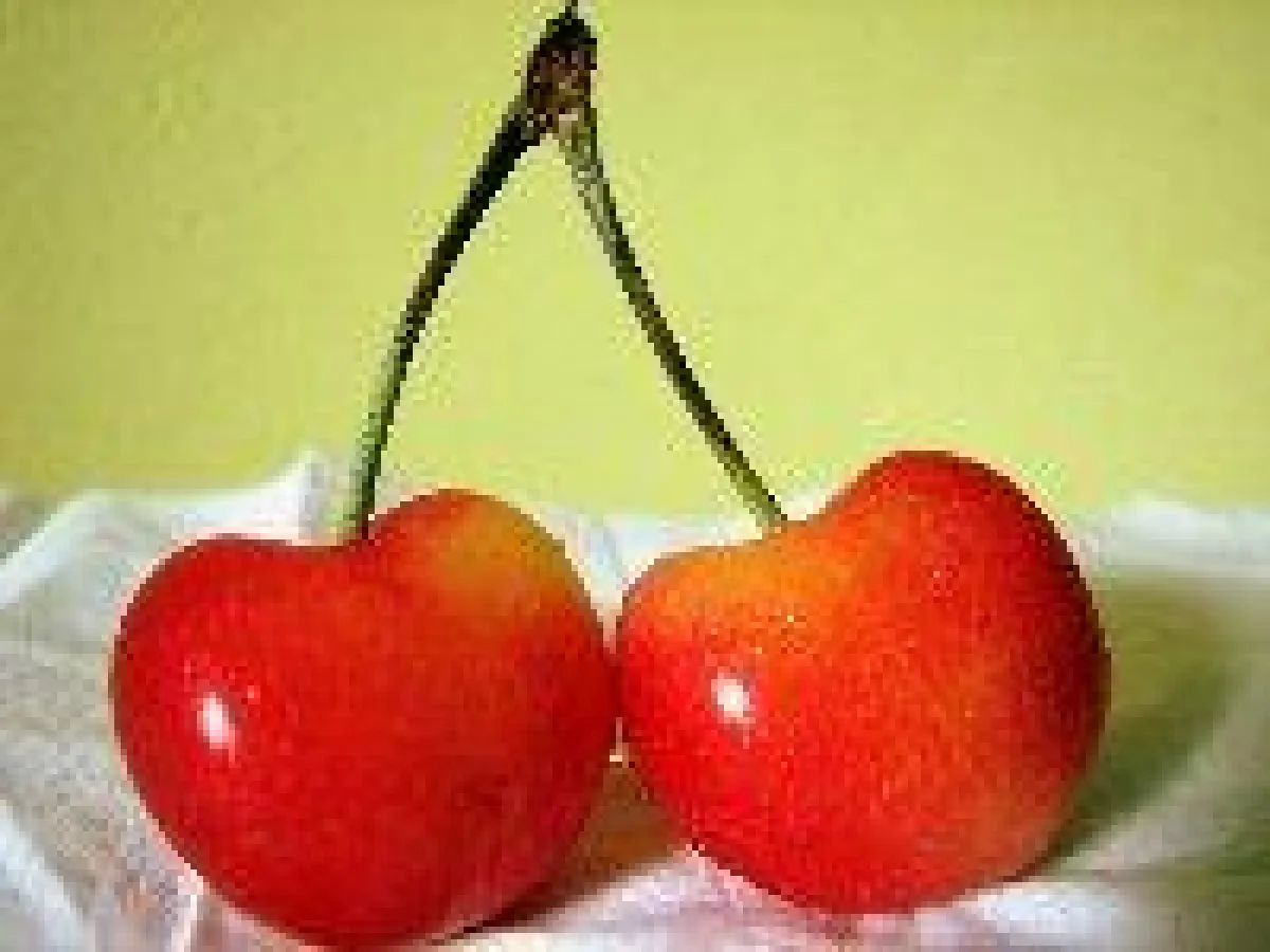 Die Passung der Lebenswirklichkeiten bestimmt den Erfolg des Online-Datings