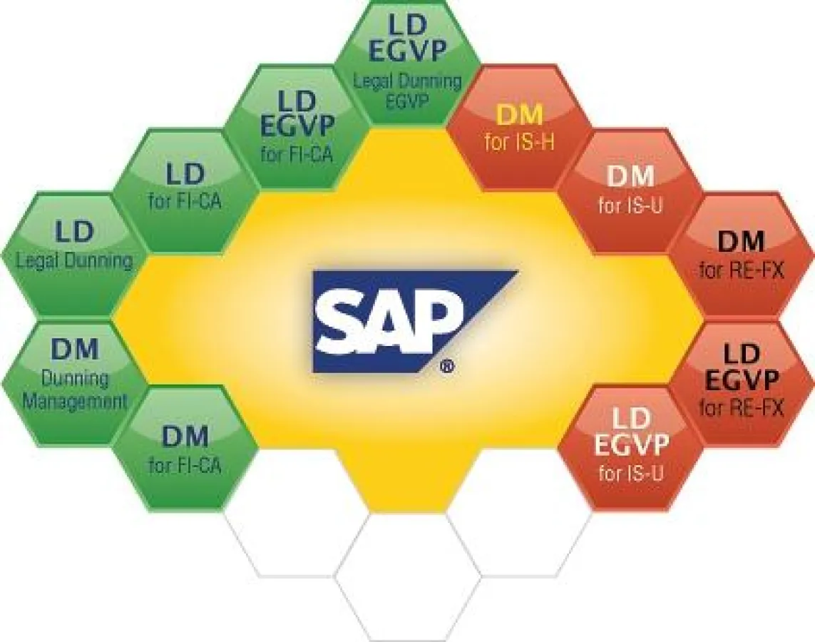 Forderungsmanagement mit SAP