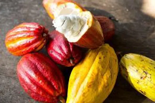 Hawai‘i für Foodies Bild: Hawai‘i für Foodies