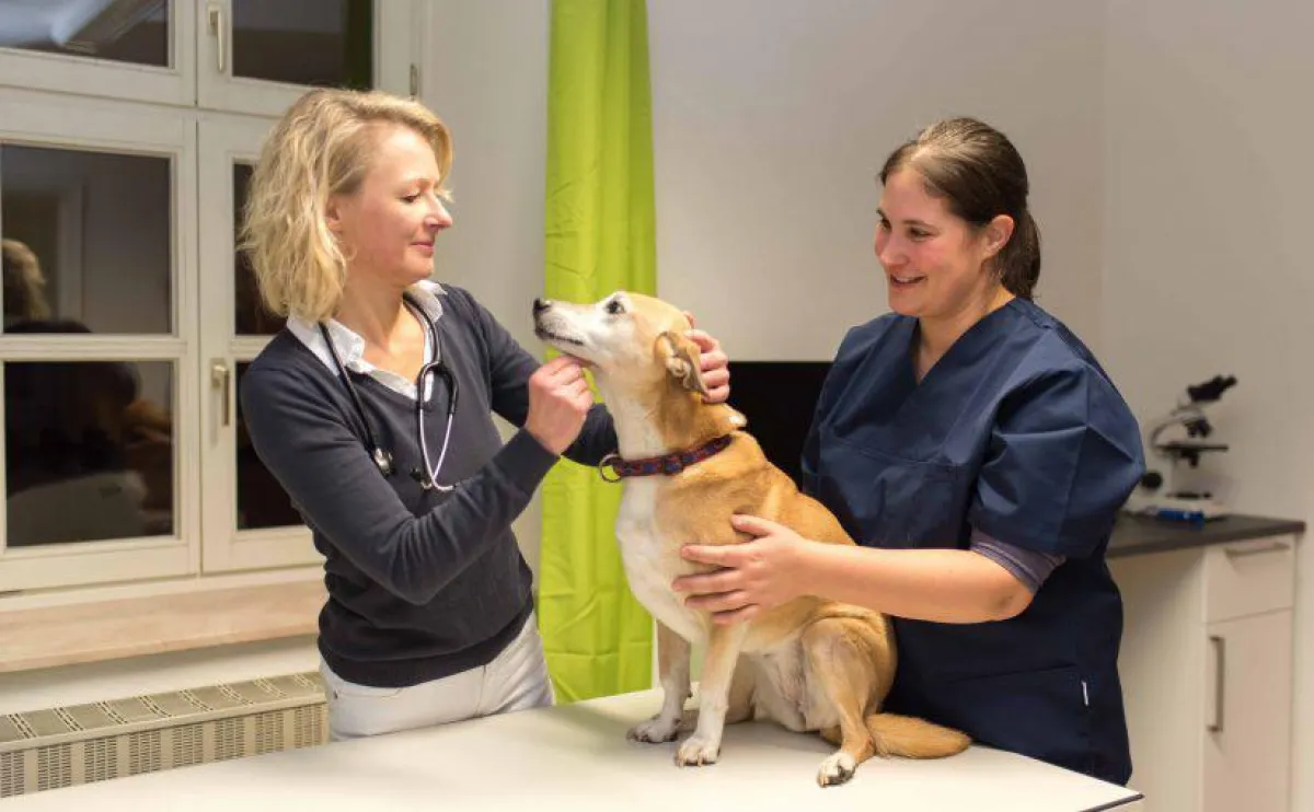 Dr. Sylvia Staschen - Kleintierpraxis in Fürstenfeldbruck