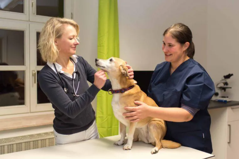 Bild: Neue Kleintierpraxis in Fürstenfeldbruck