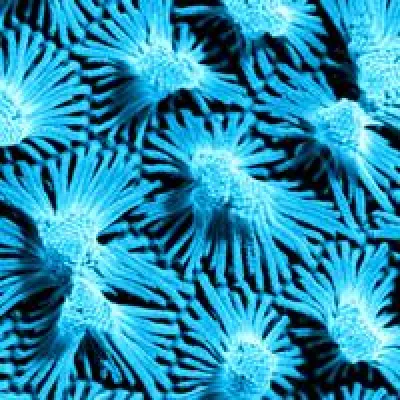 Bild: Meta-Roadmap Nanomaterialien - Zukünftige Entwicklungen und Anwendungen