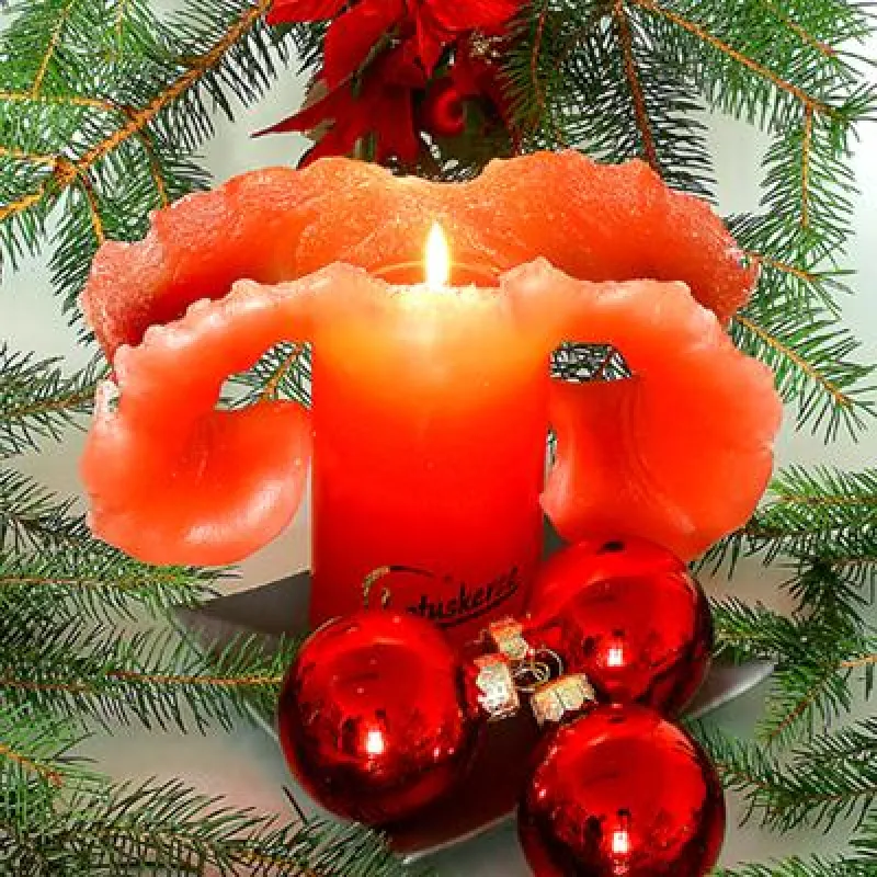 Weihnachten ist Kerzenzeit. Original Lotuskerze - ein bezauberndes Weihnachtsgeschenk.