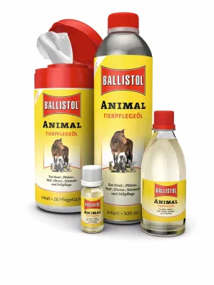 Bild: Weihnachtlicher Geschenktipp für Ihr Haustier