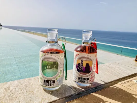 Bild: Ausgezeichneter Newcomer:  Flight Mode Gin startet durch in die Spitzenklasse