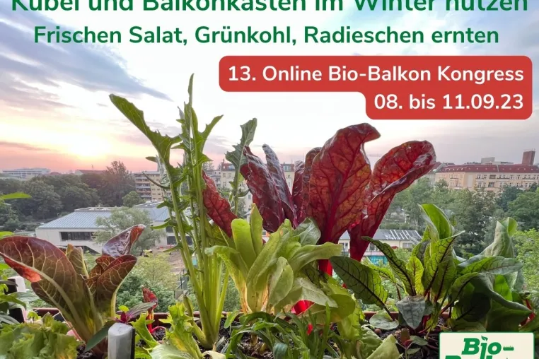 Bild: Schluss mit leeren Balkonkästen im Winter!  Der 13. Online Bio-Balkon Kongress lädt ein vom 08. bis 11.09.