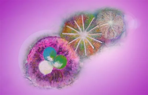 Vitalstoffe: Mehr Lebensenergie durch Tischsets und Untersetzer für Lebensmittel und Getränke Bild: Vitalstoffe: Mehr Lebensenergie durch Tischsets und Untersetzer für Lebensmittel und Getränke