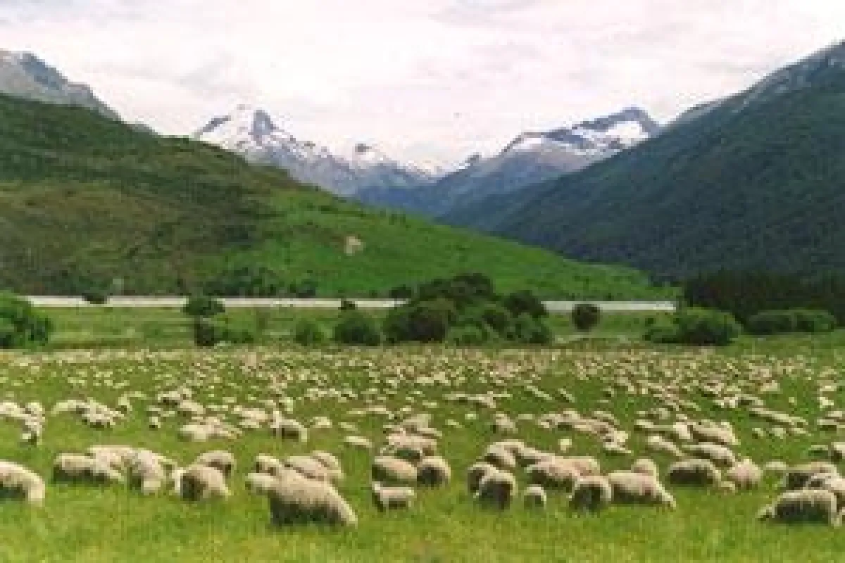 Neuseeland - Das Motorradfahrer Paradies