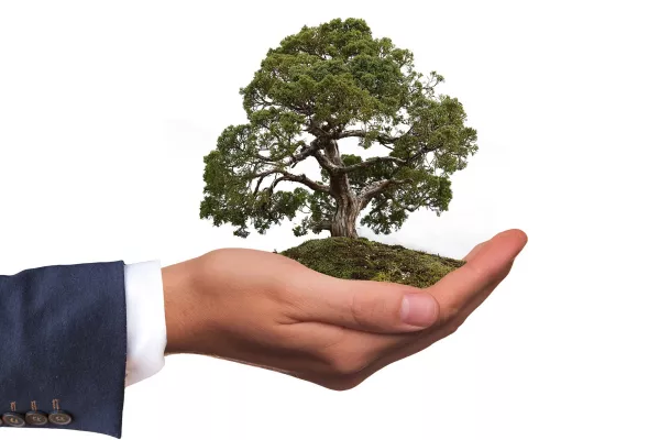 Bild: Von Umweltmanagement bis Nachhaltigkeitsstrategie: HDT gibt Impulse auf dem Weg zur Green Economy