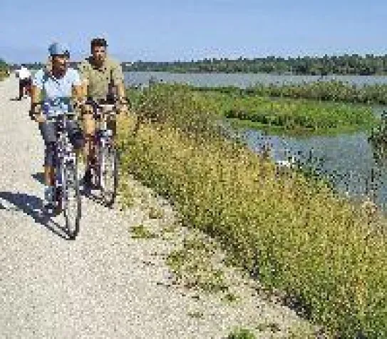 Bild: Das Passauer Land im Bayerischen Wald – Paradies für Radwanderer