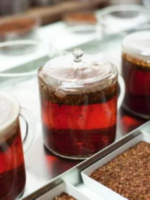 Bild: Unbeschwerter Festtagsgenuss: Rooibos-Tee schützt Ihre Leber