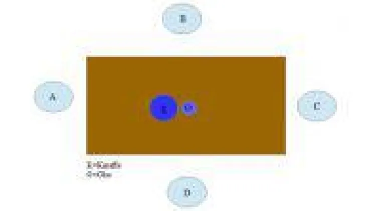 Bild: Fehlt es uns an Intelligenz?