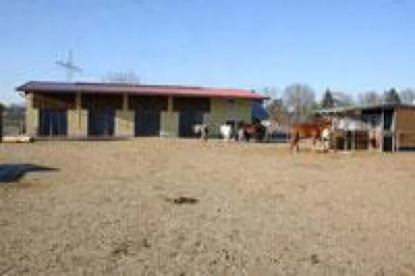 Bild: Bodenbefestigung für Auslauf und Reitplatz des Aktivstalls "Eiblhof" im Münchner Westen