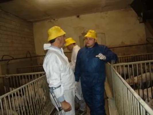 Bild: AVA-Tierärzte-Fortbildung: Grundkurs und Fortschreiberkurs nach § 7 der Schweinehaltungshygieneverordnung