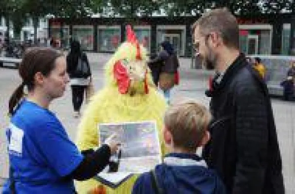 Tierrechtler verkleidet als Huhn machen Eier-Umfrage in Magdeburg, Dresden, Leipzig und Chemnitz Bild: Tierrechtler verkleidet als Huhn machen Eier-Umfrage in Magdeburg, Dresden, Leipzig und Chemnitz