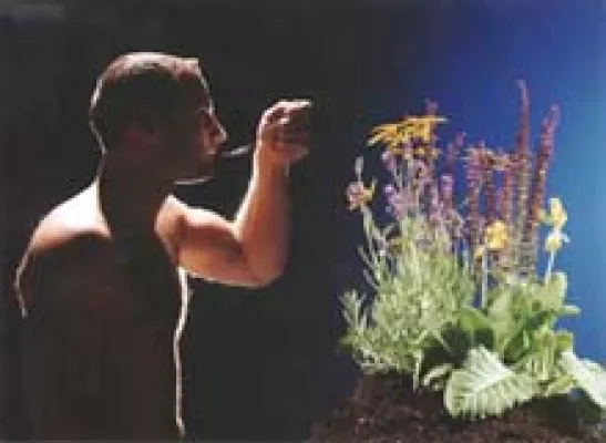 Bild: Homöopathie: Therapie der kleinen Dosen