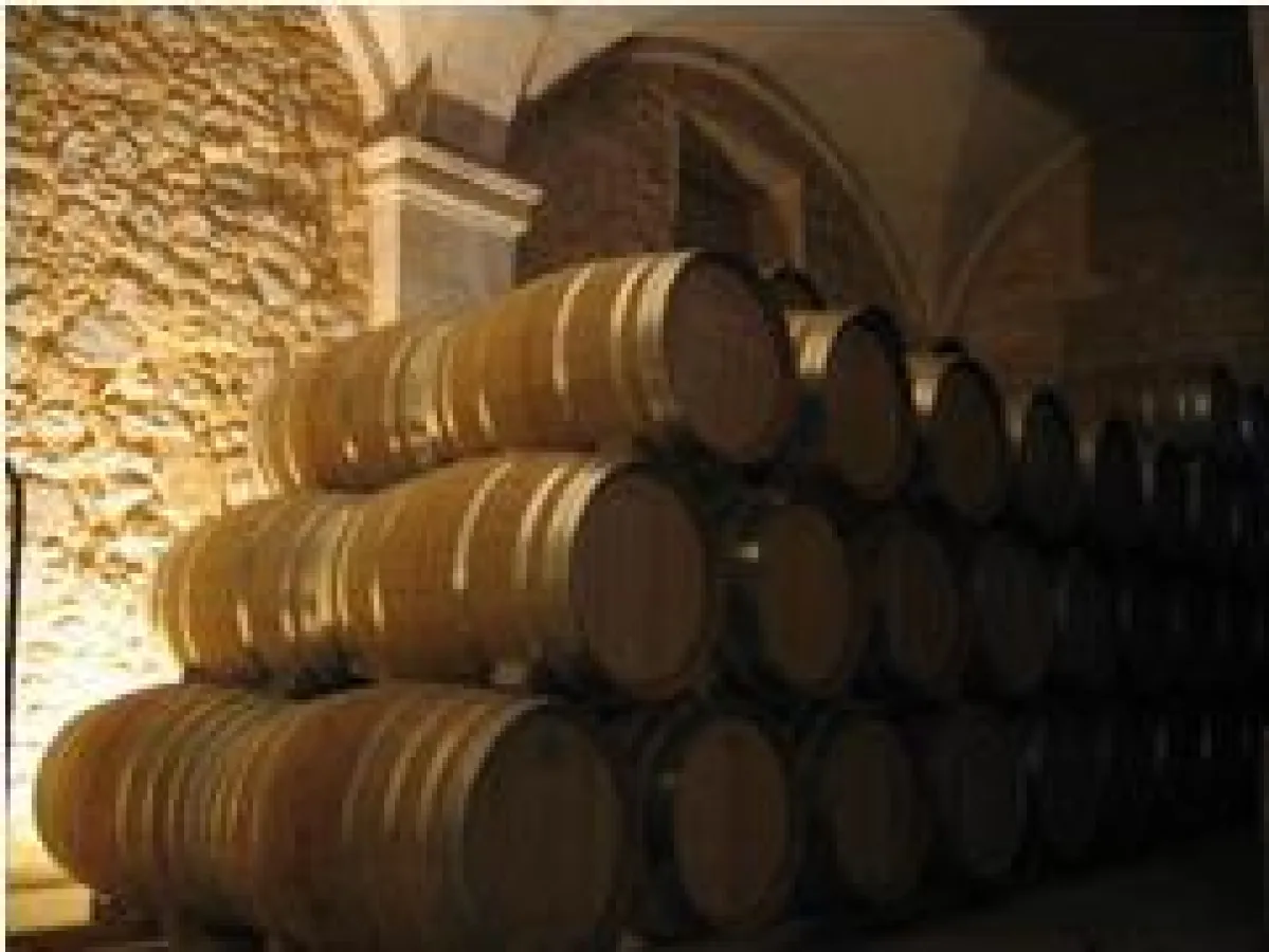 Wein Mallorca - Bodega Miquel Oliver