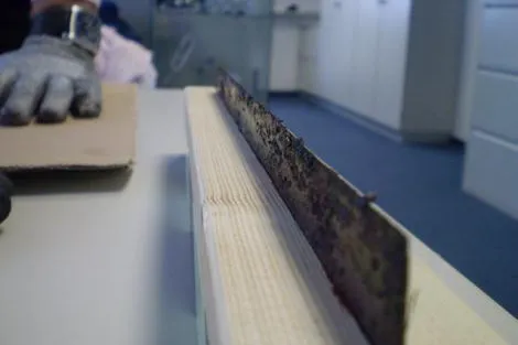 Bild: Neuer Praxistest: Schnittschutzhandschuhe im Umgang mit Rakeln