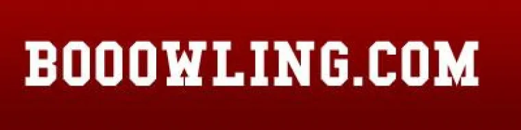 Bild: Ein Jahr booowling.com
