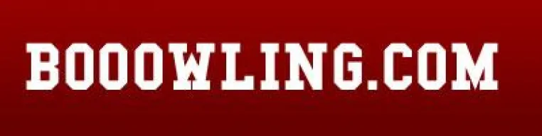 Ein Jahr booowling.com Bild: Ein Jahr booowling.com