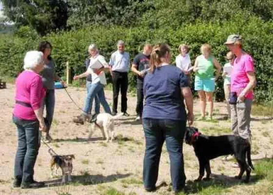 Startschuss für Sachkundeprüfung für Hundetrainer in Rheinland-Pfalz Bild: Startschuss für Sachkundeprüfung für Hundetrainer in Rheinland-Pfalz