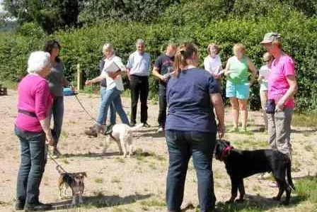Bild: Startschuss für Sachkundeprüfung für Hundetrainer in Rheinland-Pfalz