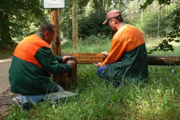 Besucherlenkung zum Schutz der Kraniche Bild: Besucherlenkung zum Schutz der Kraniche