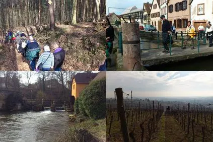 Mitglieder der Fitness Oase Wörth wanderten ins Elsass Bild: Mitglieder der Fitness Oase Wörth wanderten ins Elsass
