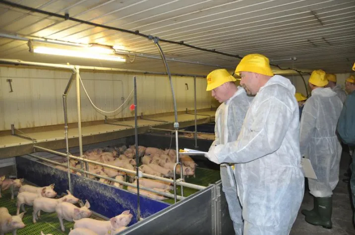 Antibiotika in der Schweinehaltung auf ein Minimum beschränken Bild: Antibiotika in der Schweinehaltung auf ein Minimum beschränken