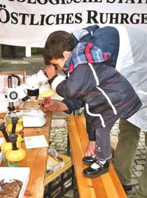 Bild: Umweltfest im Haus der Natur