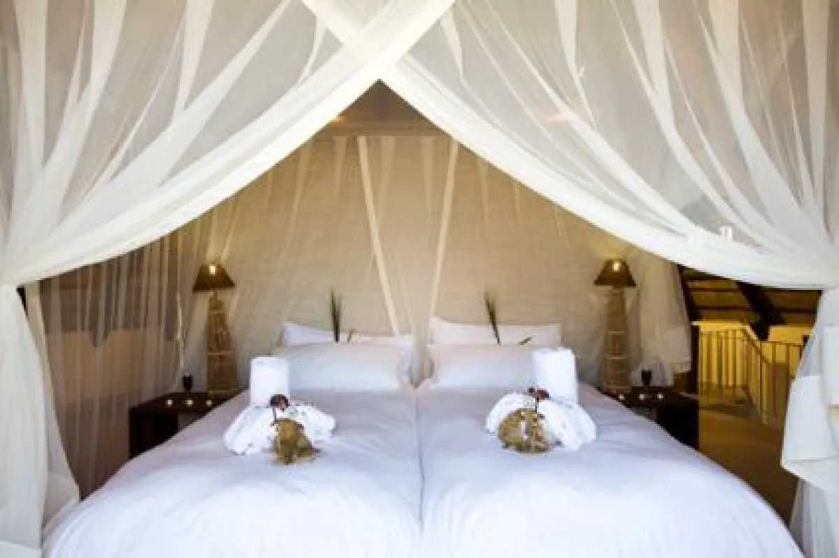 Die staatlichen, frisch renovierten Camps direkt im Etosha Nationalpark, am Waterberg und in Sossusvlei genügen jetzt höchsten Ansprüchen