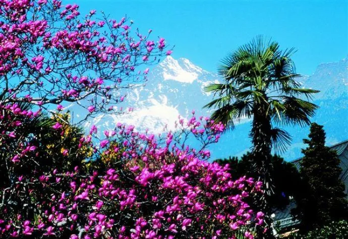 Bild: Gipfelerlebnisse und Tropenträume