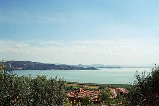 Bild: Wanderungen am Lago Trasimeno in Umbrien - Maienduft und blühender Ginster