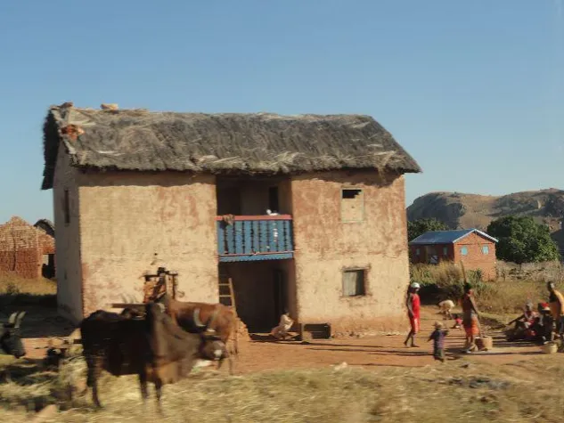 Bild: Und warum nicht nach Madagaskar ?