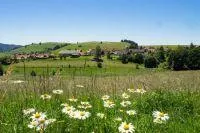 Endlich wieder Urlaub im schönen Breisgau - aber sicher muss es sein Bild: Endlich wieder Urlaub im schönen Breisgau - aber sicher muss es sein